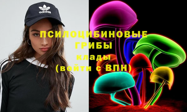 Альфа ПВП Алзамай