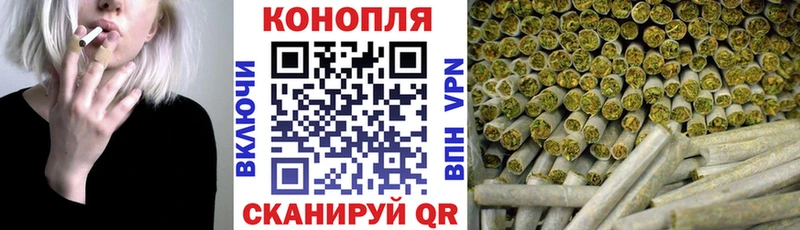 Бошки Шишки семена  купить наркотики сайты  Ленинск-Кузнецкий 
